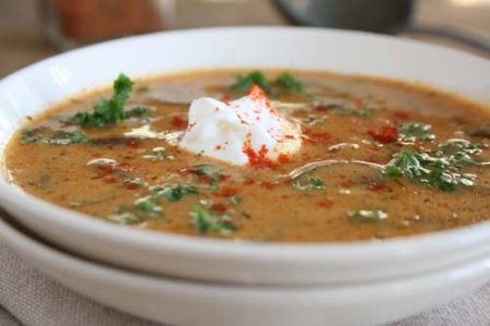 Дуже смачний і поживний суп із заморожених лисичок: рецепт з фото