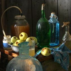 Домашнє яблучне вино - рецепт