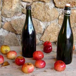 Домашнє яблучне вино - рецепт