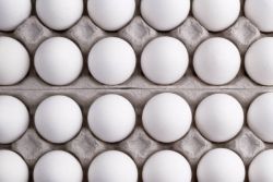Скільки зберігаються яйця в холодильнику?