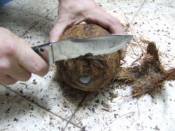 Як обробити кокос?