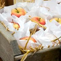 Як зберігати яблука?