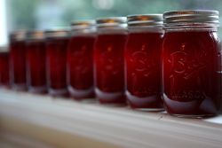 Желе із слив Желе із слив