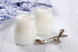 Закваска для йогурту в домашніх умовах