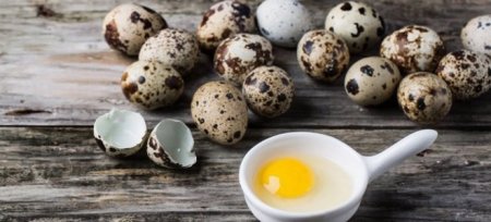 Перепелині яйця - рецепти