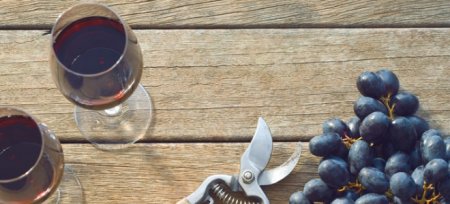 Виноградне вино «Ізабелла» в домашніх умовах - рецепти