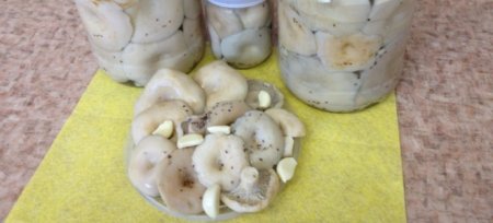 Грузді мариновані - рецепти на зиму з білих і чорних грибів холодним і гарячим способом
