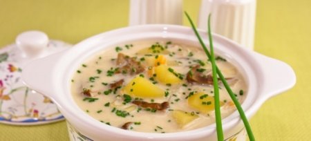 Сирний суп в мультиварці - рецепти з куркою, грибами і копченостями