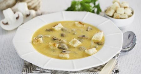 Грибний суп в мультиварці з свіжих, заморожених і сушених грибів - рецепти з сиром, перловкою і куркою