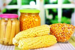 Як консервувати кукурудзу в домашніх умовах?